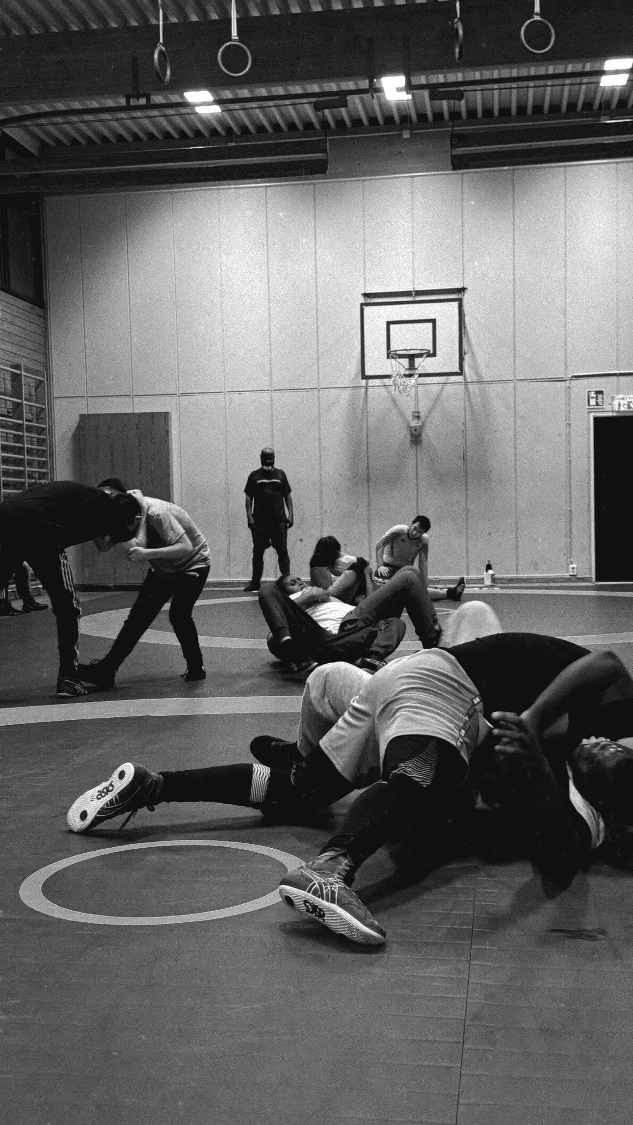 provtrana, by Vladislav Bychkov